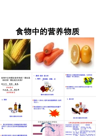 2013届中考生物 查漏补缺复习 专题十 食物中的营养物质课件