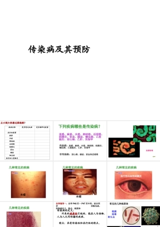 2013届中考生物 查漏补缺复习 专题四 传染病及其预防课件