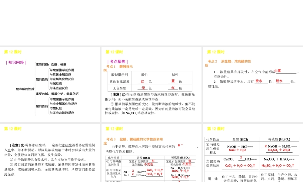 2012版中考化学一轮复习 第12课时酸和碱的性质精品课件 人教新课标版