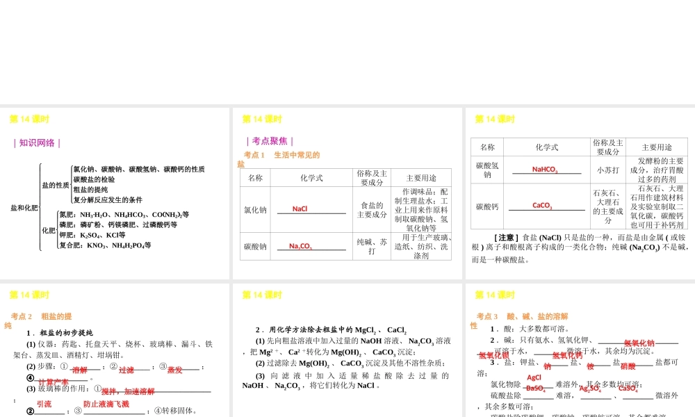 2012版中考化学一轮复习 第14课时盐和化肥精品课件 人教新课标版