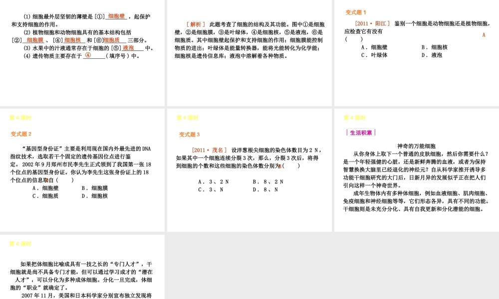 2013届中考生物 考前查漏补缺《第4课时 细胞的结构与生活》（考点聚焦 +考前热身+平时知识积累）课件 新人教版
