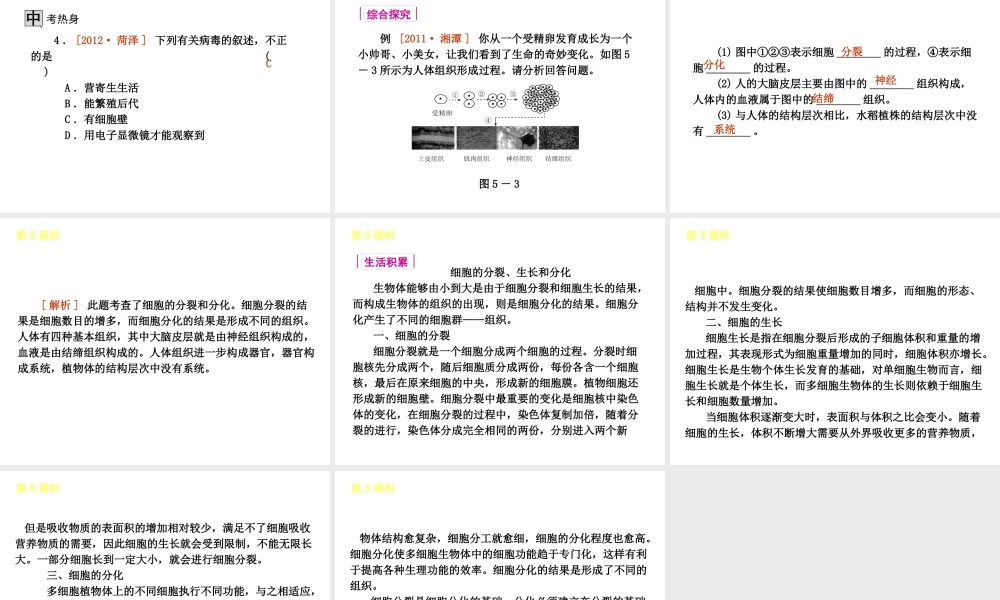 2013届中考生物 考前查漏补缺《第5课时 生物体的结构层次》（考点聚焦 +考前热身+平时知识积累）课件 新人教版
