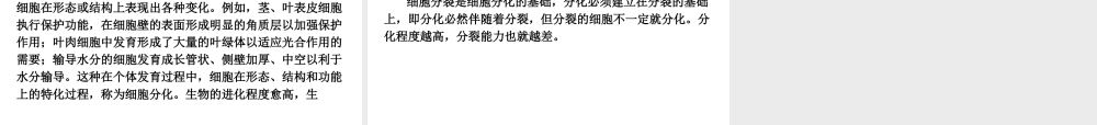 2013届中考生物 考前查漏补缺《第5课时 生物体的结构层次》（考点聚焦 +考前热身+平时知识积累）课件 新人教版