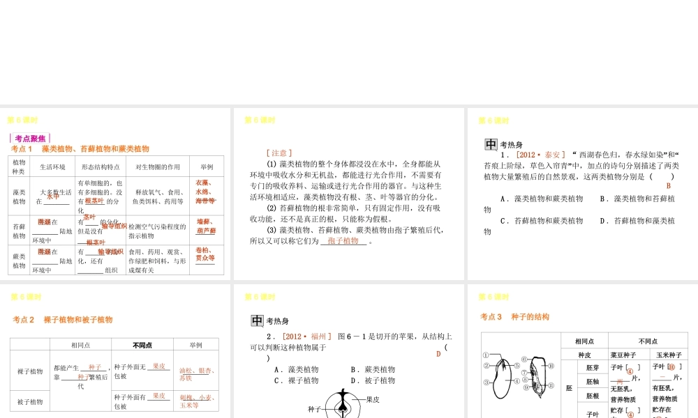 2013届中考生物 考前查漏补缺《第6课时 生物圈中有哪些绿色植物》（考点聚焦 +考前热身+平时知识积累）课件 新人教版