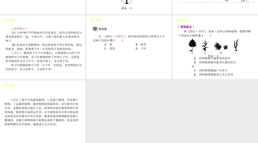 2013届中考生物 考前查漏补缺《第6课时 生物圈中有哪些绿色植物》（考点聚焦 +考前热身+平时知识积累）课件 新人教版
