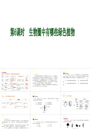 2013届中考生物 考前查漏补缺《第6课时 生物圈中有哪些绿色植物》（考点聚焦 +考前热身+平时知识积累）课件 新人教版