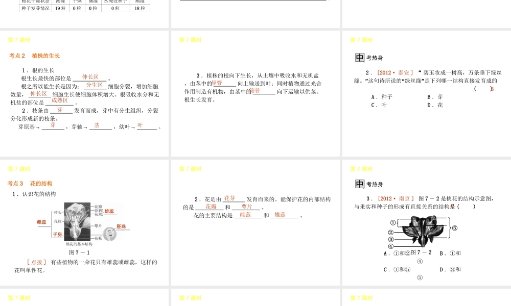 2013届中考生物 考前查漏补缺《第7课时 被子植物的一生》（考点聚焦 +考前热身+平时知识积累）课件 新人教版