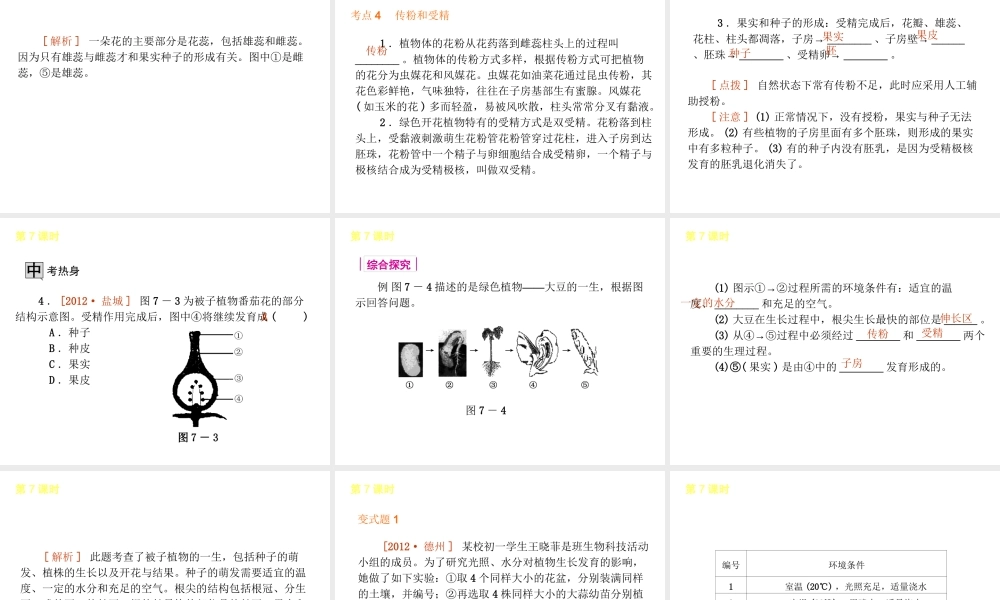 2013届中考生物 考前查漏补缺《第7课时 被子植物的一生》（考点聚焦 +考前热身+平时知识积累）课件 新人教版