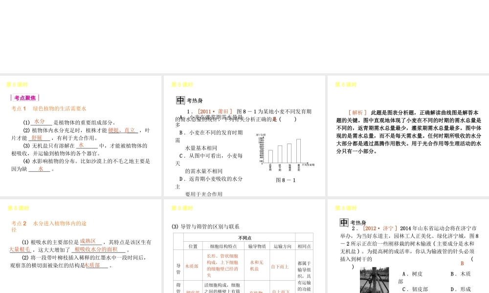 2013届中考生物 考前查漏补缺《第8课时 绿色植物与生物圈的水循环》（考点聚焦 +考前热身+平时知识积累）课件 新人教版
