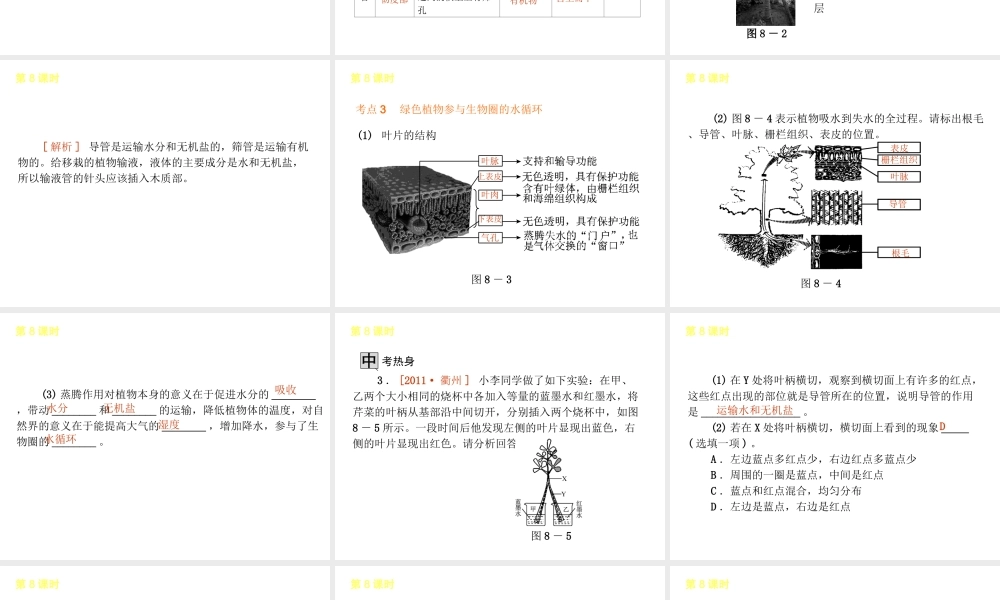 2013届中考生物 考前查漏补缺《第8课时 绿色植物与生物圈的水循环》（考点聚焦 +考前热身+平时知识积累）课件 新人教版