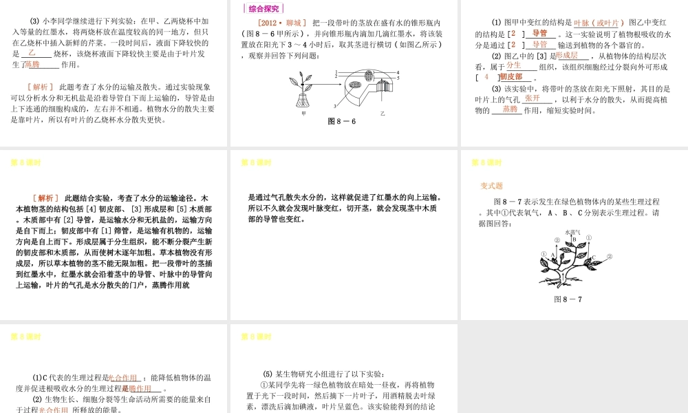 2013届中考生物 考前查漏补缺《第8课时 绿色植物与生物圈的水循环》（考点聚焦 +考前热身+平时知识积累）课件 新人教版