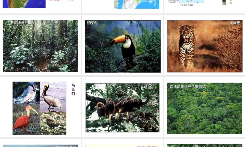 2014-2015学年七年级地理下册 第九单元 第10课 巴西课件1 商务星球版