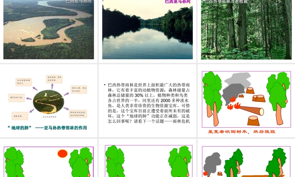 2014-2015学年七年级地理下册 第九单元 第10课 巴西课件1 商务星球版