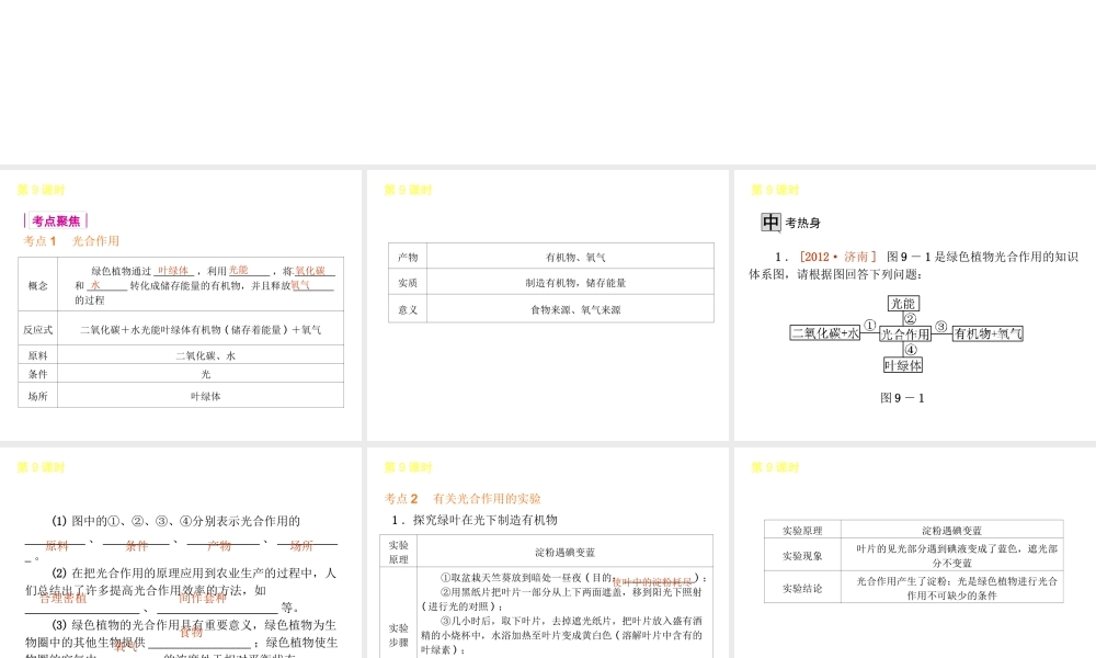 2013届中考生物 考前查漏补缺《第9课时 绿色植物的光合作用》（考点聚焦 +考前热身+平时知识积累）课件 新人教版