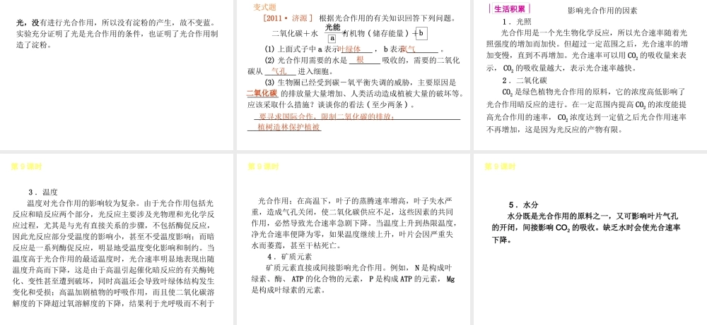 2013届中考生物 考前查漏补缺《第9课时 绿色植物的光合作用》（考点聚焦 +考前热身+平时知识积累）课件 新人教版