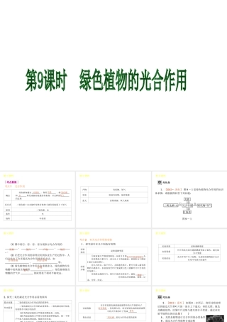 2013届中考生物 考前查漏补缺《第9课时 绿色植物的光合作用》（考点聚焦 +考前热身+平时知识积累）课件 新人教版