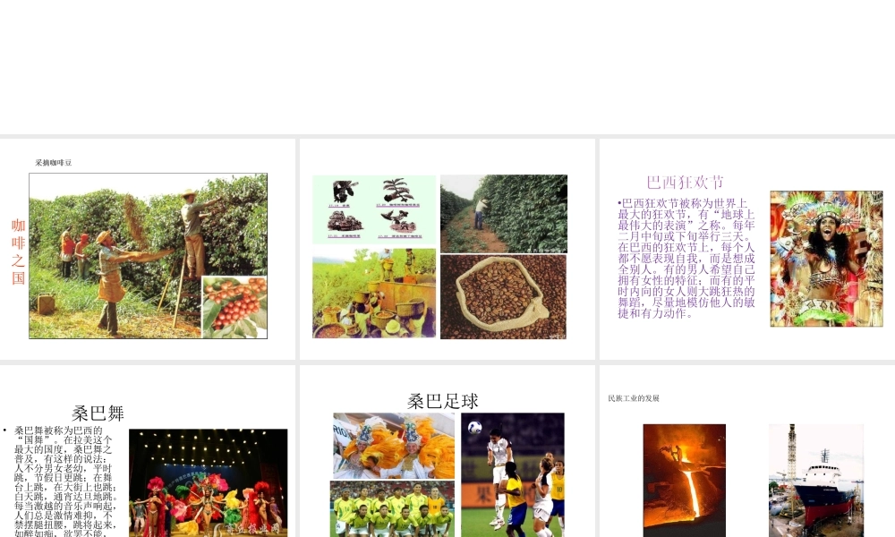 2014-2015学年七年级地理下册 第九单元 第10课 巴西课件2 商务星球版