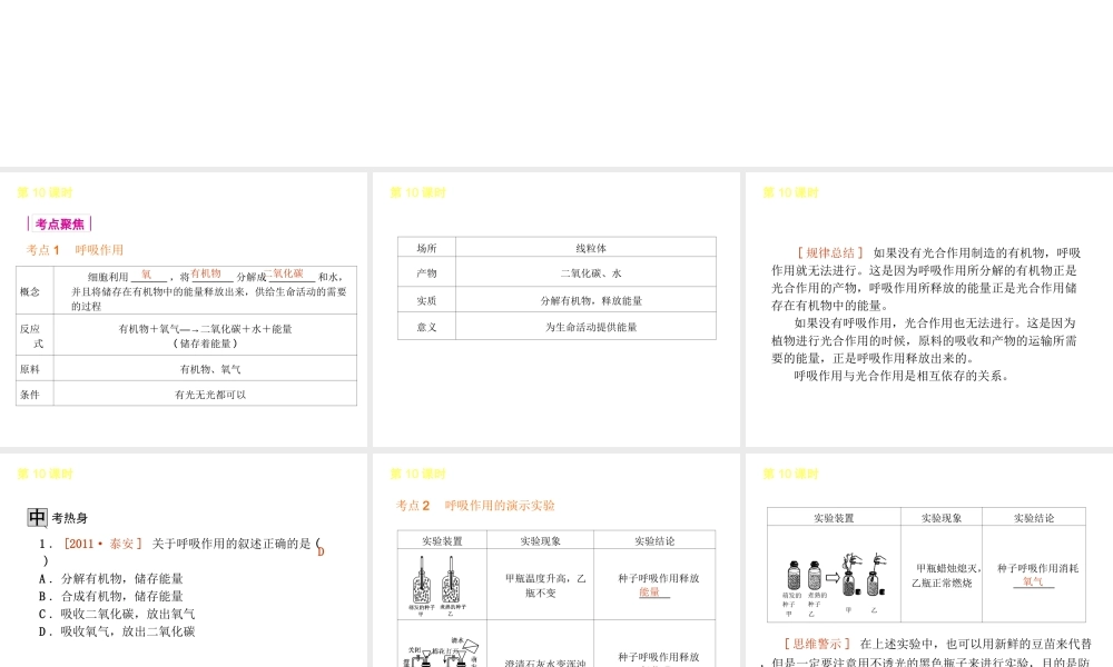 2013届中考生物 考前查漏补缺《第10课时 绿色植物的呼吸作用》（考点聚焦 +考前热身+平时知识积累）课件 新人教版
