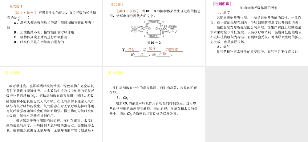 2013届中考生物 考前查漏补缺《第10课时 绿色植物的呼吸作用》（考点聚焦 +考前热身+平时知识积累）课件 新人教版