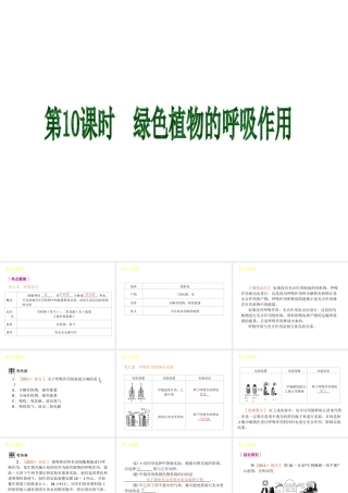 2013届中考生物 考前查漏补缺《第10课时 绿色植物的呼吸作用》（考点聚焦 +考前热身+平时知识积累）课件 新人教版