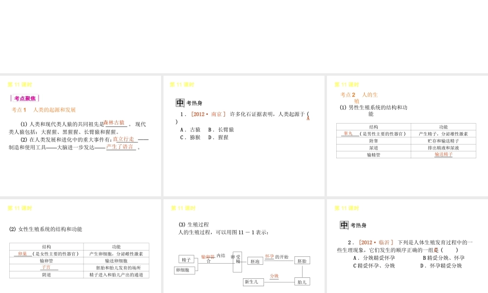 2013届中考生物 考前查漏补缺《第11课时 人的由来》（考点聚焦 +考前热身+平时知识积累）课件 新人教版