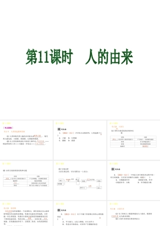 2013届中考生物 考前查漏补缺《第11课时 人的由来》（考点聚焦 +考前热身+平时知识积累）课件 新人教版