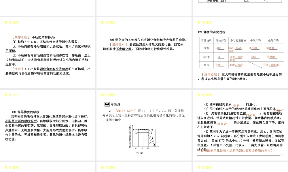 2013届中考生物 考前查漏补缺《第12课时 人体的营养》（考点聚焦 +考前热身+平时知识积累）课件 新人教版