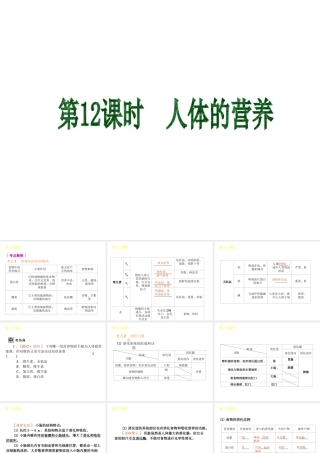 2013届中考生物 考前查漏补缺《第12课时 人体的营养》（考点聚焦 +考前热身+平时知识积累）课件 新人教版