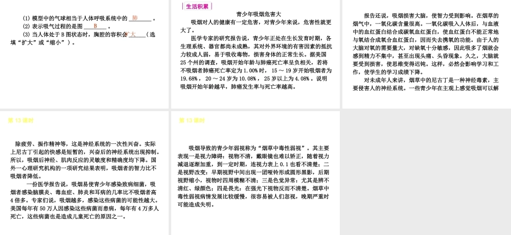 2013届中考生物 考前查漏补缺《第13课时 人体的呼吸》（考点聚焦 +考前热身+平时知识积累）课件 新人教版