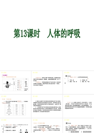 2013届中考生物 考前查漏补缺《第13课时 人体的呼吸》（考点聚焦 +考前热身+平时知识积累）课件 新人教版