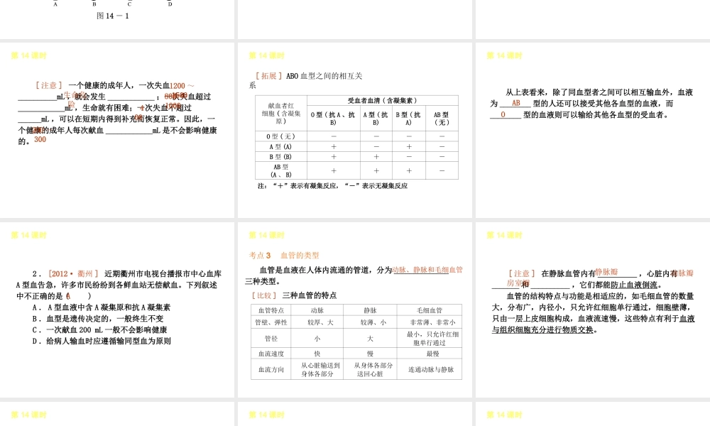 2013届中考生物 考前查漏补缺《第14课时 血液、血管和血型、输血》（考点聚焦 +考前热身+平时知识积累）课件 新人教版