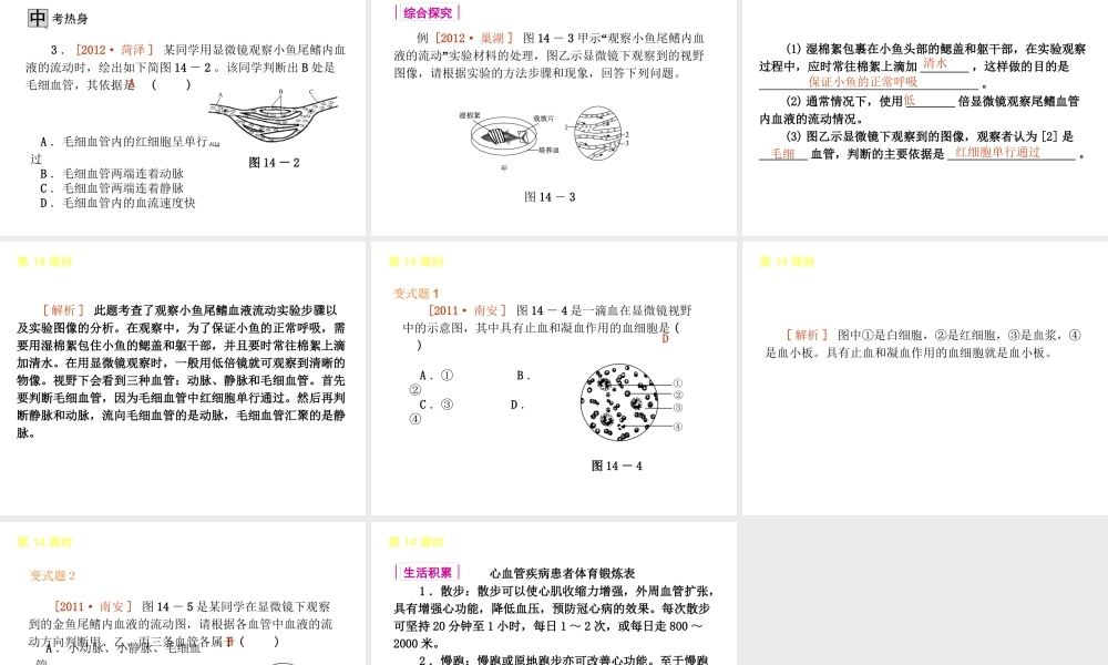 2013届中考生物 考前查漏补缺《第14课时 血液、血管和血型、输血》（考点聚焦 +考前热身+平时知识积累）课件 新人教版