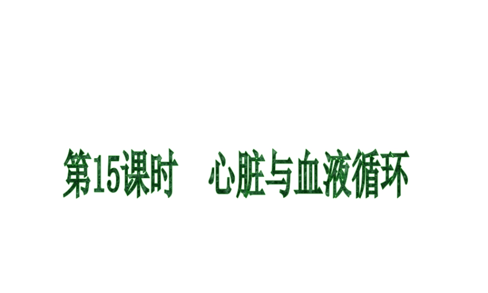 2013届中考生物 考前查漏补缺《第15课时 心脏与血液循环》（考点聚焦 +考前热身+平时知识积累）课件 新人教版