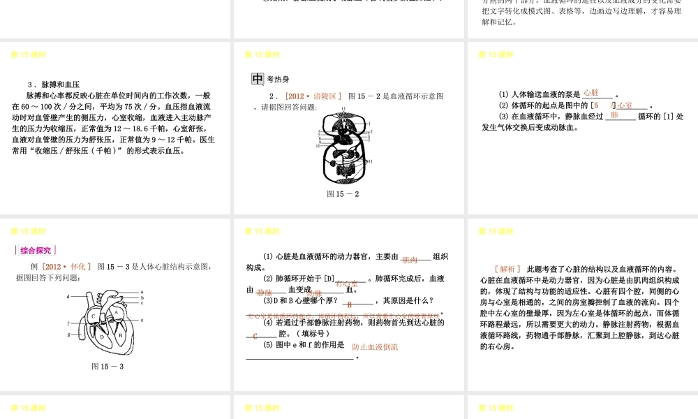 2013届中考生物 考前查漏补缺《第15课时 心脏与血液循环》（考点聚焦 +考前热身+平时知识积累）课件 新人教版