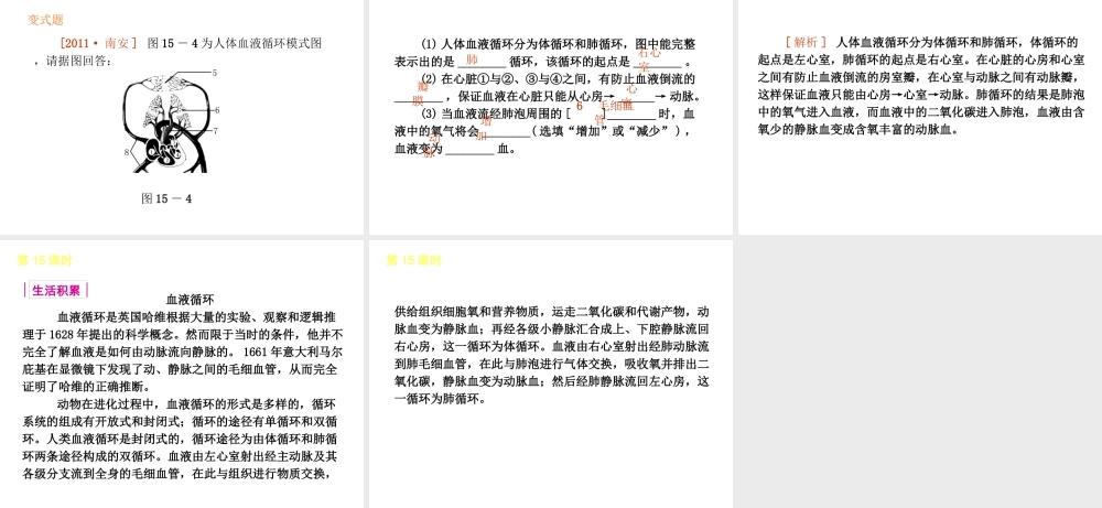 2013届中考生物 考前查漏补缺《第15课时 心脏与血液循环》（考点聚焦 +考前热身+平时知识积累）课件 新人教版