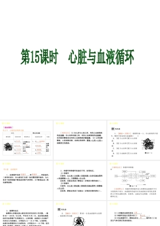 2013届中考生物 考前查漏补缺《第15课时 心脏与血液循环》（考点聚焦 +考前热身+平时知识积累）课件 新人教版