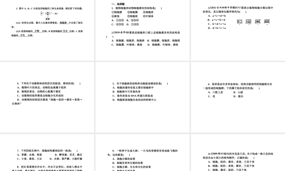 2012版中考科学 第二章 细 胞精品课件（含3年中考真题） 浙教版