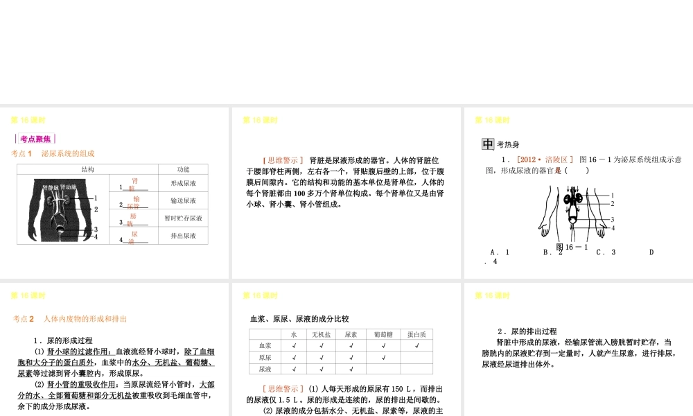 2013届中考生物 考前查漏补缺《第16课时 人体内废物的排出》（考点聚焦 +考前热身+平时知识积累）课件 新人教版