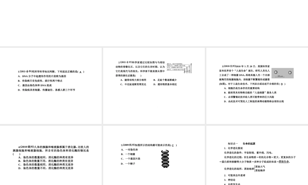 2012版中考科学 第九章 遗传与进化精品课件（含3年中考真题） 浙教版