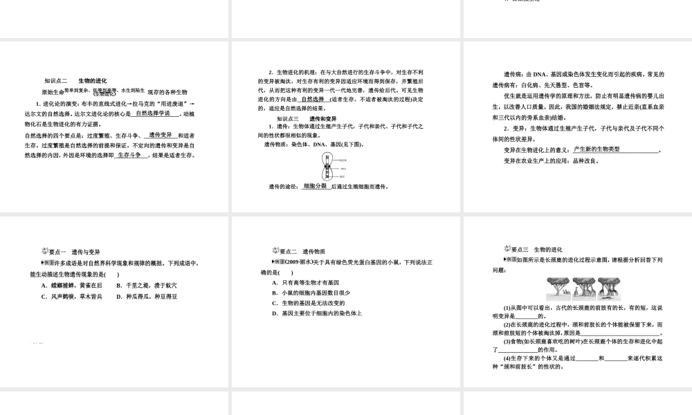 2012版中考科学 第九章 遗传与进化精品课件（含3年中考真题） 浙教版