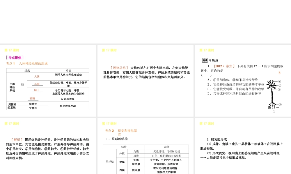 2013届中考生物 考前查漏补缺《第17课时 人体对外界环境的感知》（考点聚焦 +考前热身+平时知识积累）课件 新人教版