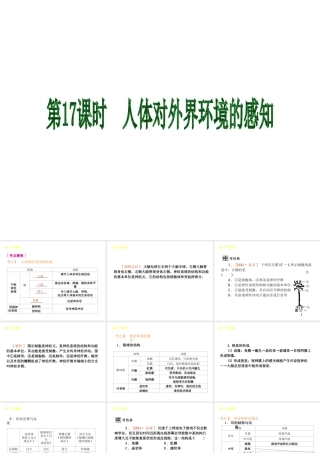 2013届中考生物 考前查漏补缺《第17课时 人体对外界环境的感知》（考点聚焦 +考前热身+平时知识积累）课件 新人教版