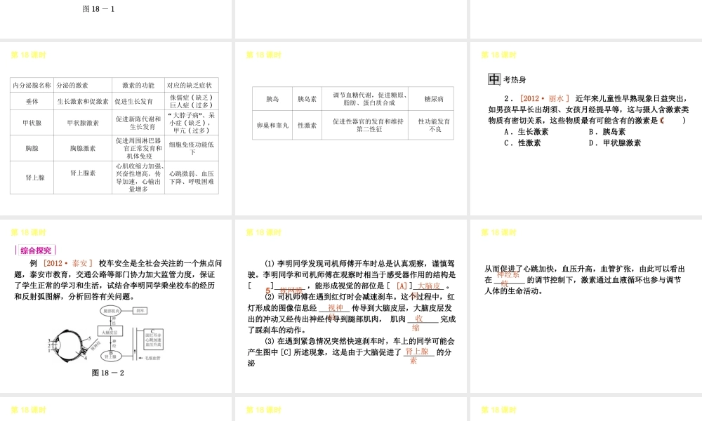 2013届中考生物 考前查漏补缺《第18课时 神经调节与激素调节》（考点聚焦 +考前热身+平时知识积累）课件 新人教版
