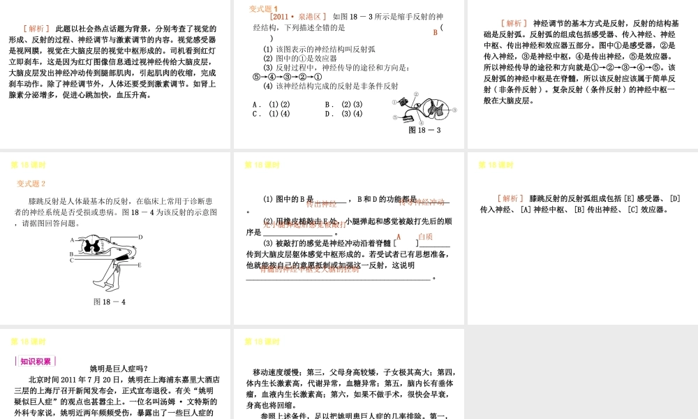 2013届中考生物 考前查漏补缺《第18课时 神经调节与激素调节》（考点聚焦 +考前热身+平时知识积累）课件 新人教版