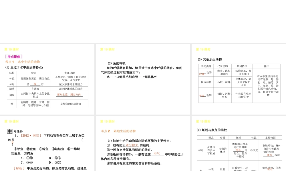 2013届中考生物 考前查漏补缺《第19课时 生物圈中的动物 》（考点聚焦 +考前热身+平时知识积累）课件 新人教版