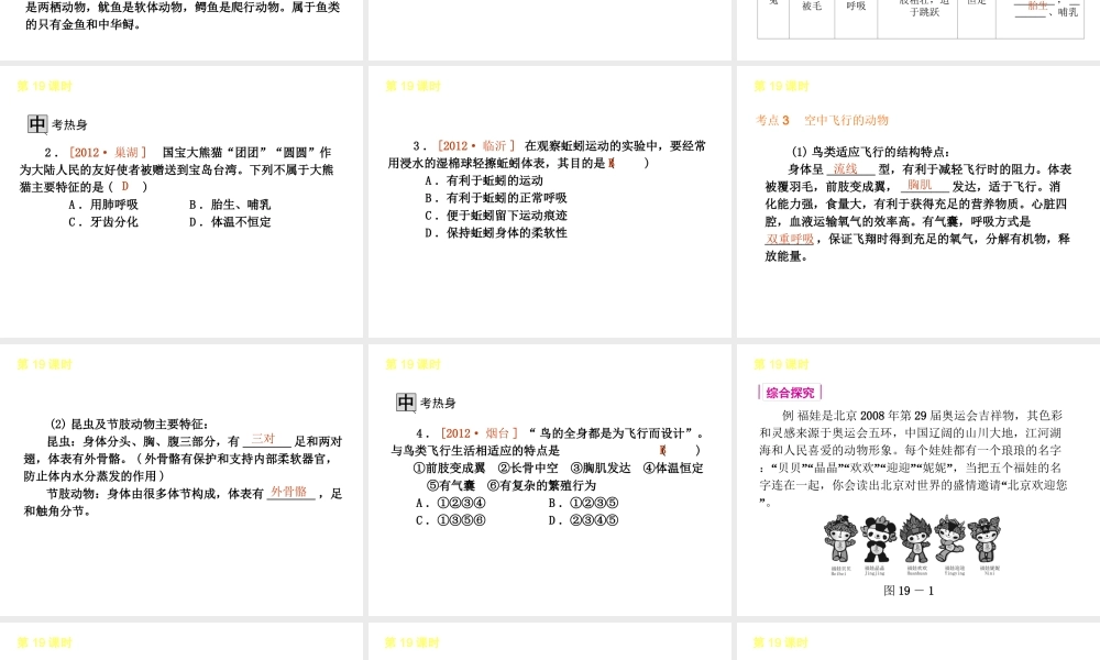 2013届中考生物 考前查漏补缺《第19课时 生物圈中的动物 》（考点聚焦 +考前热身+平时知识积累）课件 新人教版