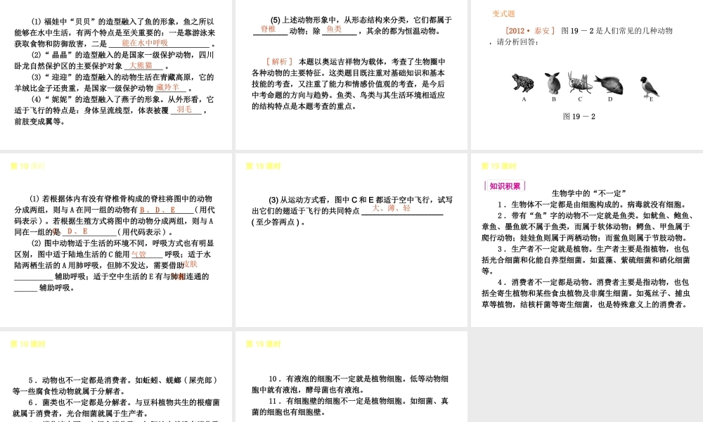 2013届中考生物 考前查漏补缺《第19课时 生物圈中的动物 》（考点聚焦 +考前热身+平时知识积累）课件 新人教版