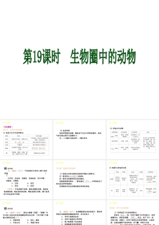 2013届中考生物 考前查漏补缺《第19课时 生物圈中的动物 》（考点聚焦 +考前热身+平时知识积累）课件 新人教版