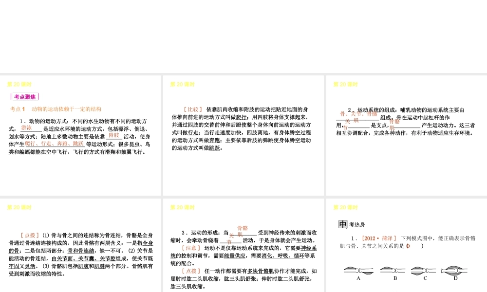 2013届中考生物 考前查漏补缺《第20课时 动物的运动和行为》（考点聚焦 +考前热身+平时知识积累）课件 新人教版