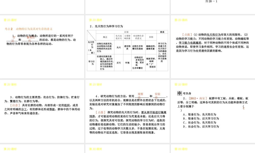 2013届中考生物 考前查漏补缺《第20课时 动物的运动和行为》（考点聚焦 +考前热身+平时知识积累）课件 新人教版